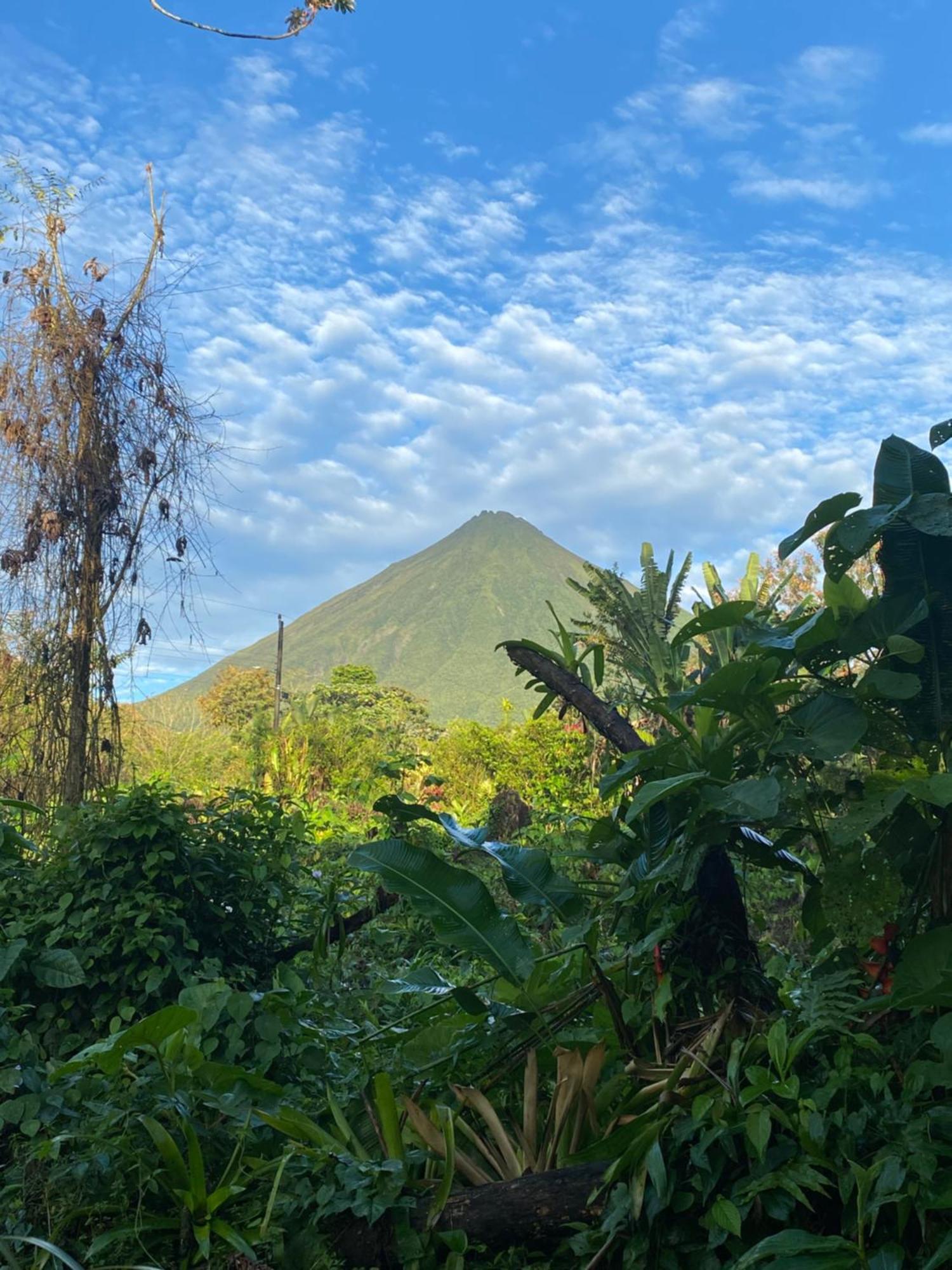 Mali'S House Hotell La Fortuna Exteriör bild